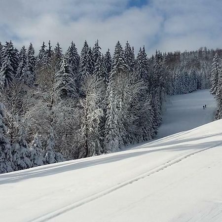 Apartman Medvedin 109 Spindleruv Mlyn Exterior photo
