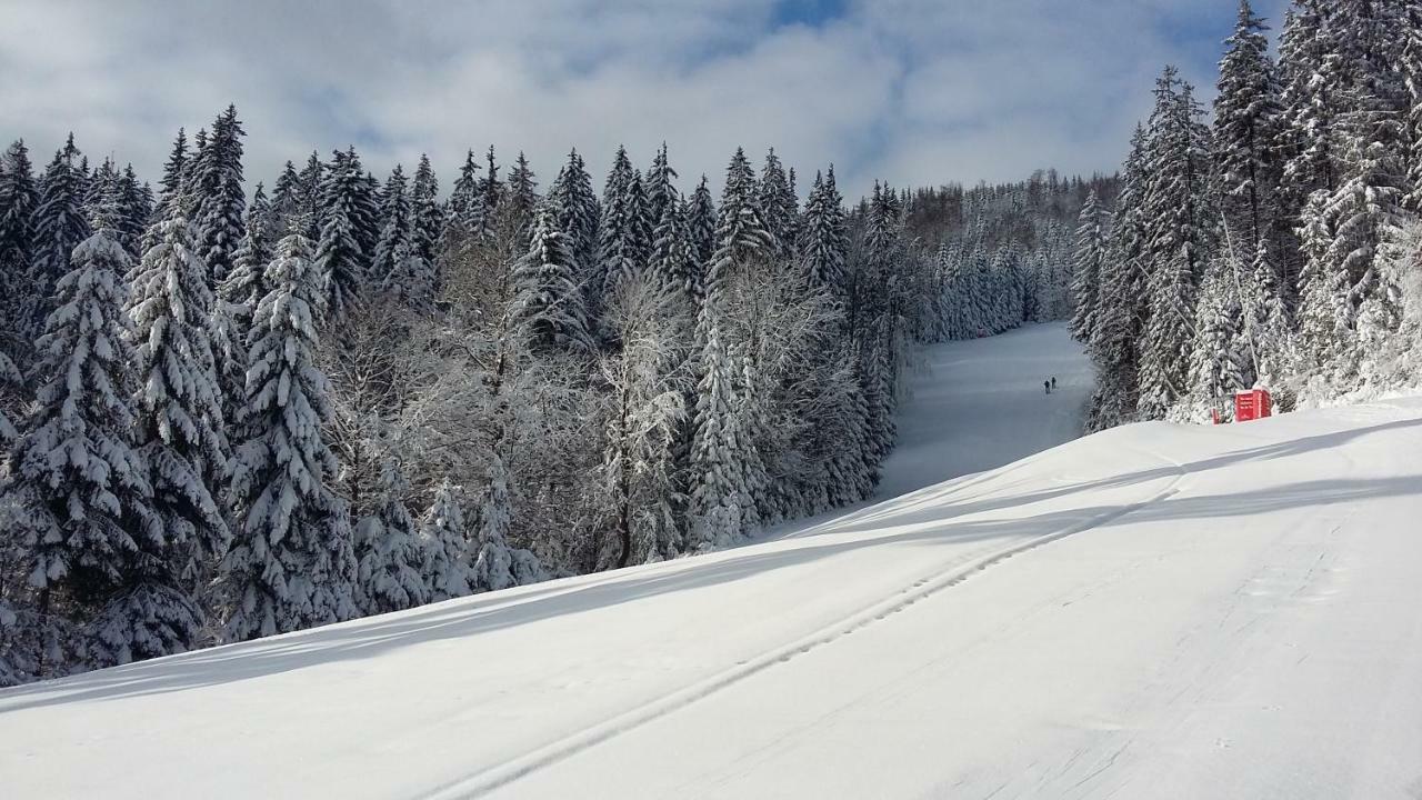 Apartman Medvedin 109 Spindleruv Mlyn Exterior photo
